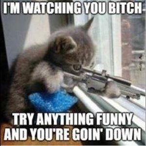 Meet your Posher, Leon